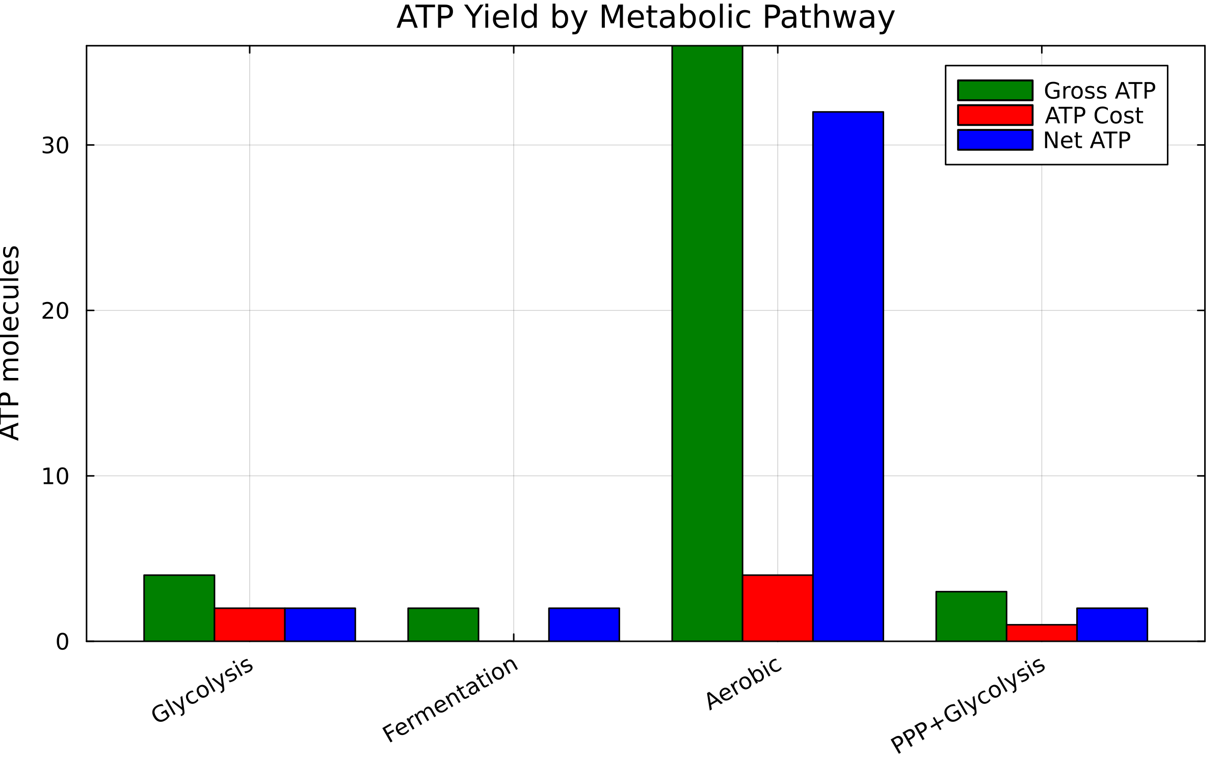 ATP Yield